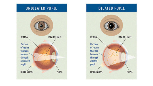  Atropt (Atropine) 1% Eye Drop 5ml bottle